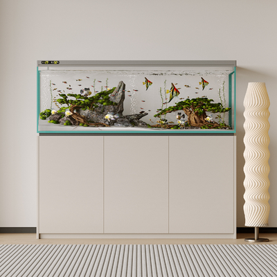 Modern fish tank aquarium