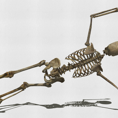 Skeleton