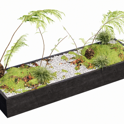 Fern flower bed flower box stone moss