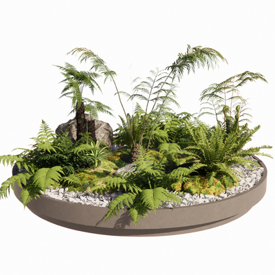 Fern flower bed flower box stone moss