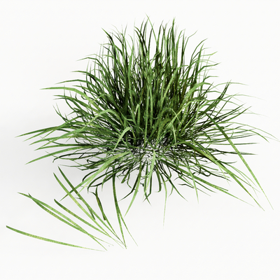 Weeds, hay stacks, green grass