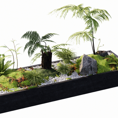 Fern flower bed flower box stone moss