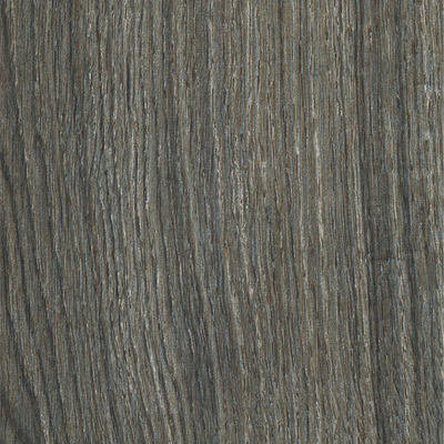 bark wood grain