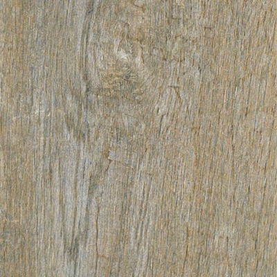 bark wood grain