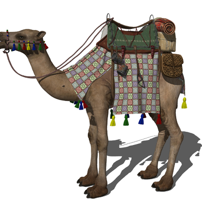 Camel