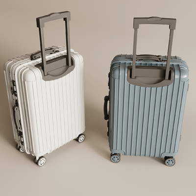 Luggage luggage case