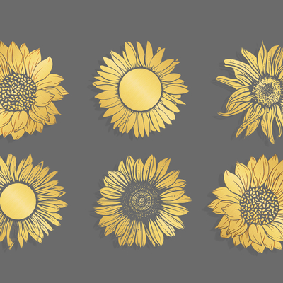 Sunflower Pattern Silhouette