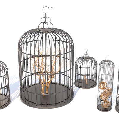 Decorative Birdcage Iron Frame Birdcage