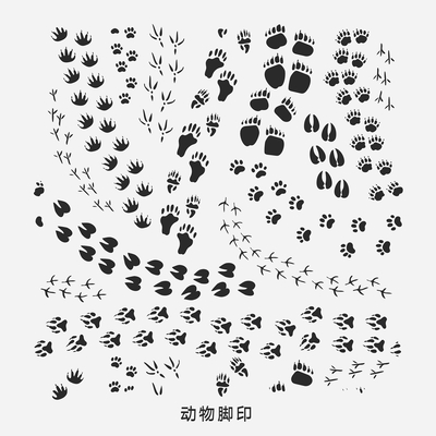 Animal Footprints Cartoon Elements Pattern Silhouette