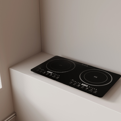 modern induction cooker