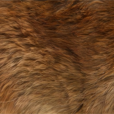 animal fur