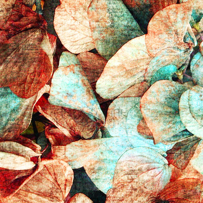 Leaf Wallpaper