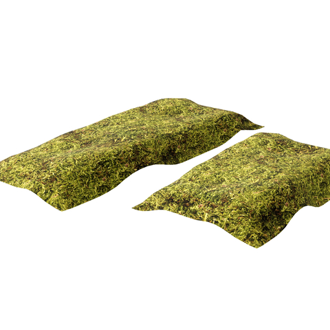 Grass Turf Grass Terrain