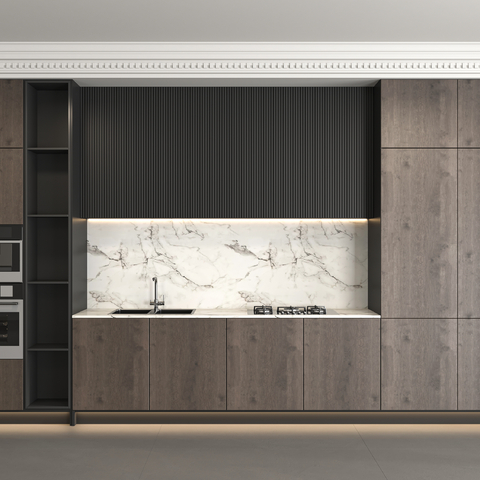 Modern Kitchen Cabinets