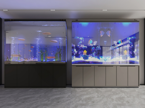 Fish tank aquarium