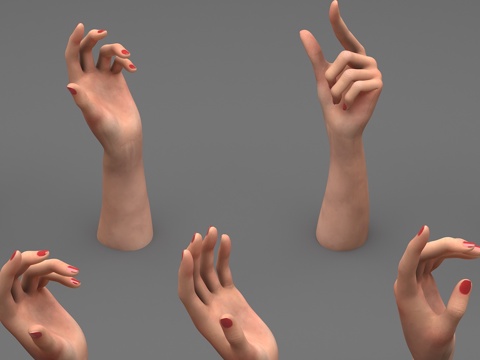 gesture female gesture arm palm finger