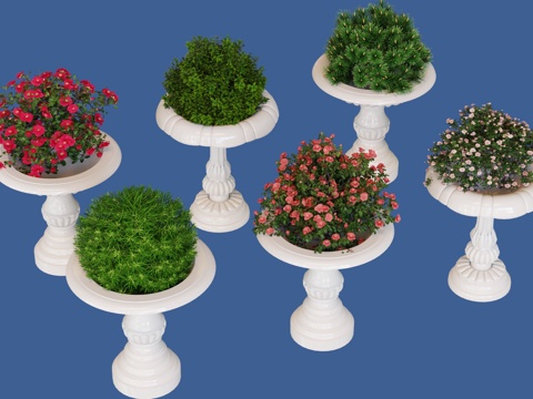 plant flower bed flower bowl