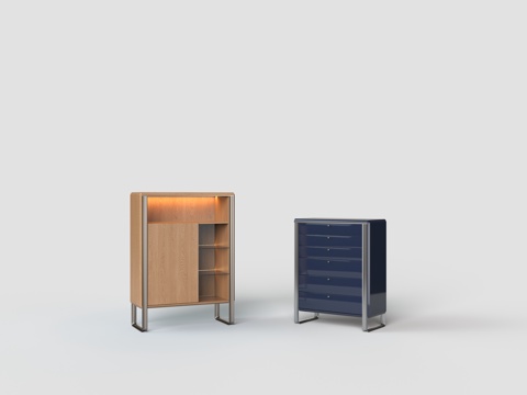 Modern Entrance Cabinet