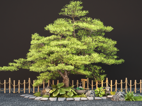 Landscape arbor modeling pine tree landscape tree courtyard tree