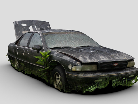 a black sedan overgrown with weeds