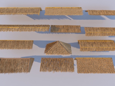 Thatch thatched shed hay stack