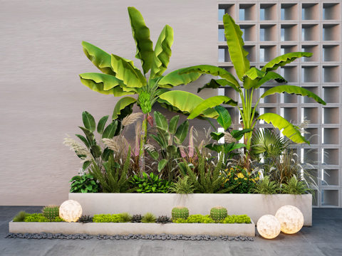 plantain plant flower box plant pile