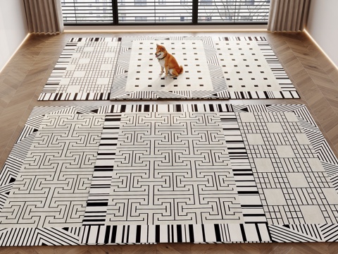 Modern Carpet