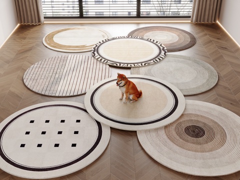 Modern Round Carpet