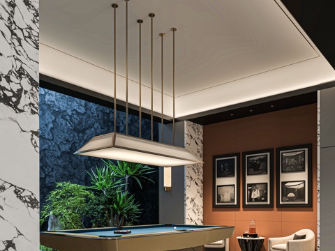 Modern Billiard Room Clubhouse Billiard Room