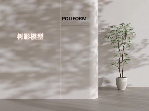 modern plant green plant potted tree shadow light shadow