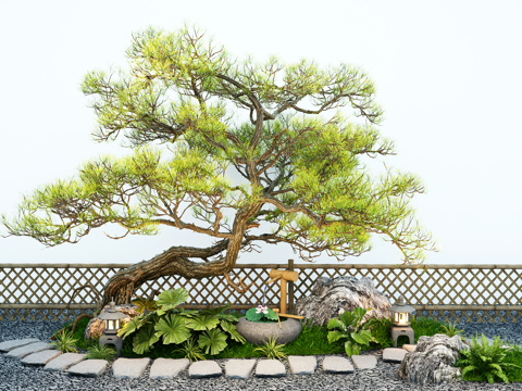 Modeling welcome pine oblique floating landscape tree