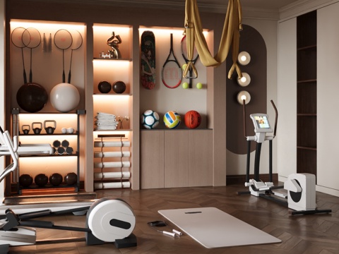 Modern gym sports equipment