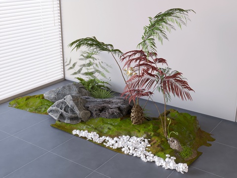 plant green plant plant pile plant stone pebbles