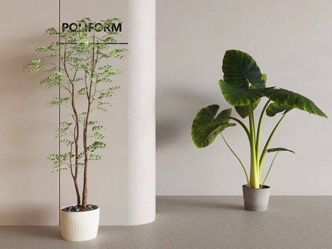 modern plant green plant green plant potted plant