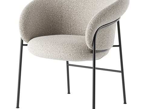 Modern Fabric Chair Dining Chair