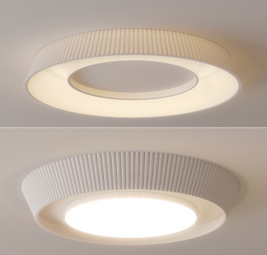 Modern ceiling lamp Decorative Light