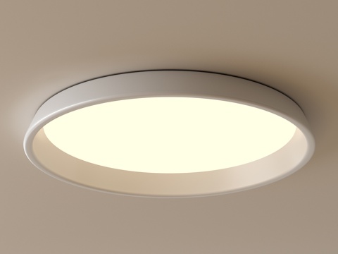 Modern round ceiling lamp