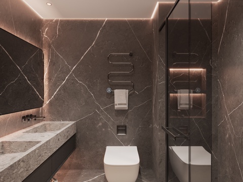 Modern Toilet Bathroom