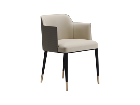 Modern Chair dining chair