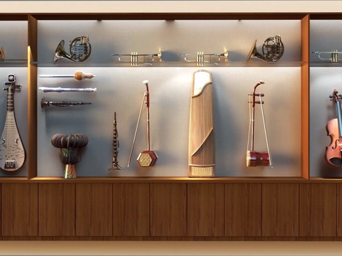 Musical Instrument Display Cabinet Rack