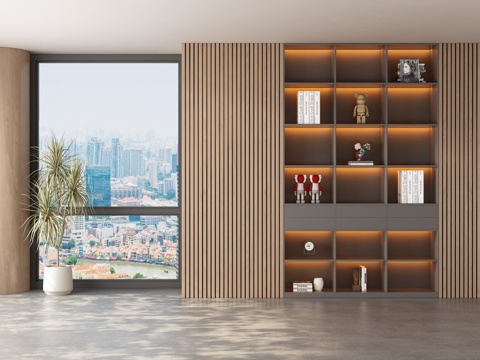 Modern Bookcase Showcase