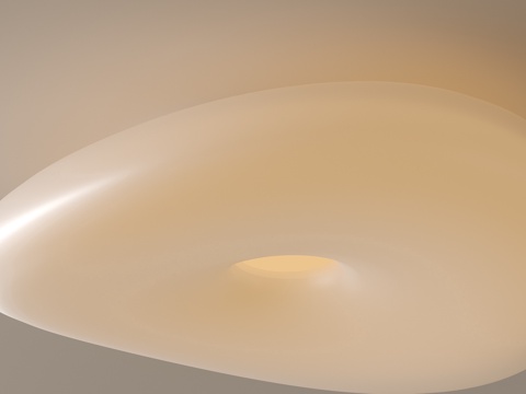 modern ceiling lamp