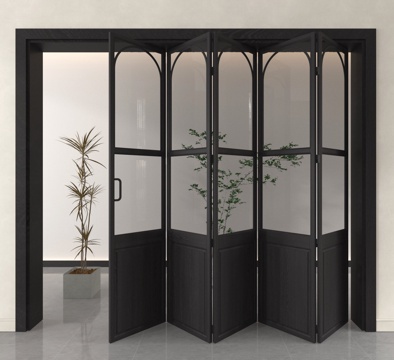 French Folding Door Glass Door