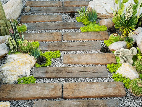 Modern Landscape Ting Stone Pebble Cactus Plant