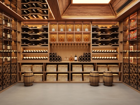 Modern basement wine cellar