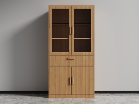 File Cabinet Bookcase Locker