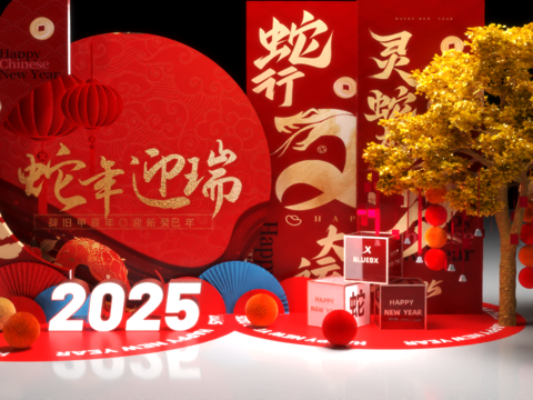 New Year Art Display Year of the Snake Meichen Spring Festival Meichen Business Meichen