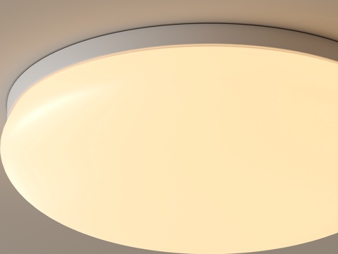 Cream Style ceiling lamp Simple ceiling lamp Round ceiling lamp