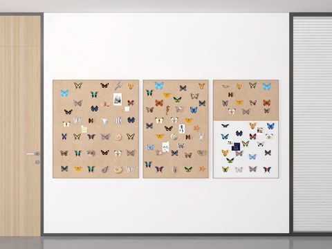 Butterfly ornament specimen wall