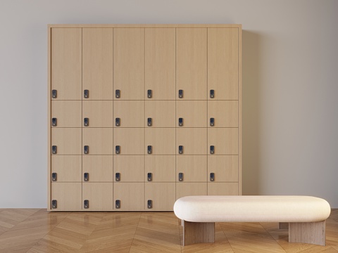 Storage Cabinet Smart Shoe Cabinet